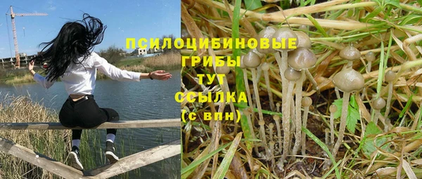 дурь Армянск