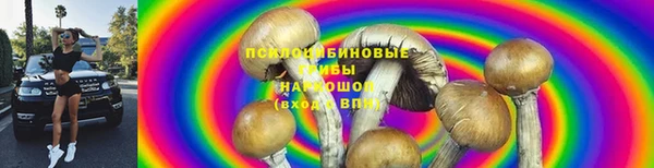 дурь Армянск