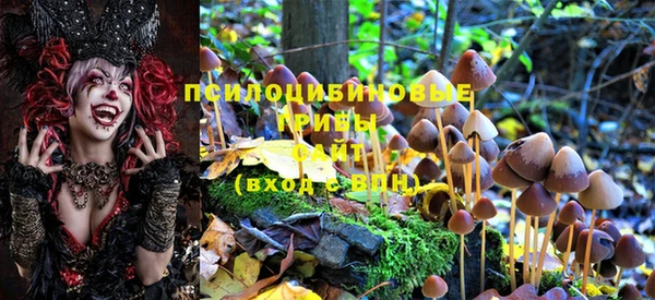 молекула духа Алексеевка