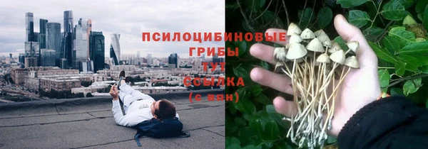 дурь Армянск