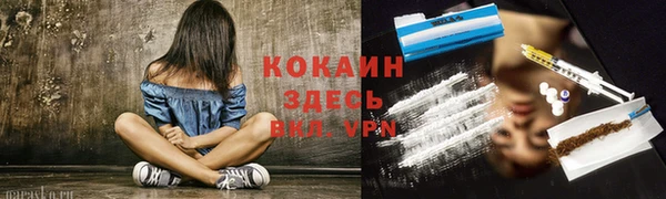 молекула духа Алексеевка