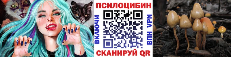 Галлюциногенные грибы Psilocybe  Строитель 